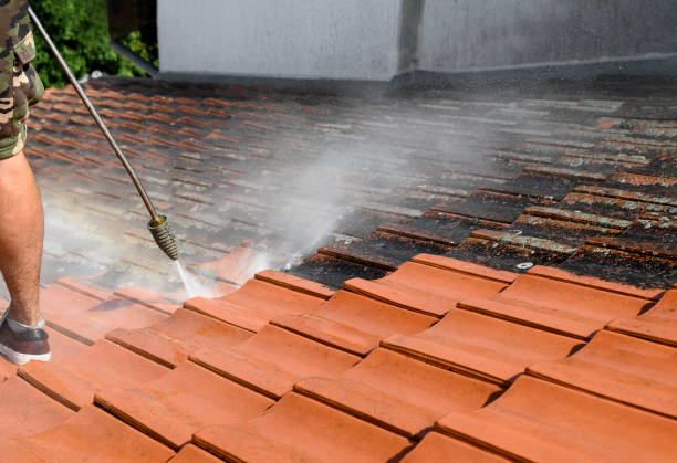 Best Residential Pressure Washing Services  in Albion, IL