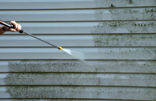 Best Garage Pressure Washing  in Albion, IL