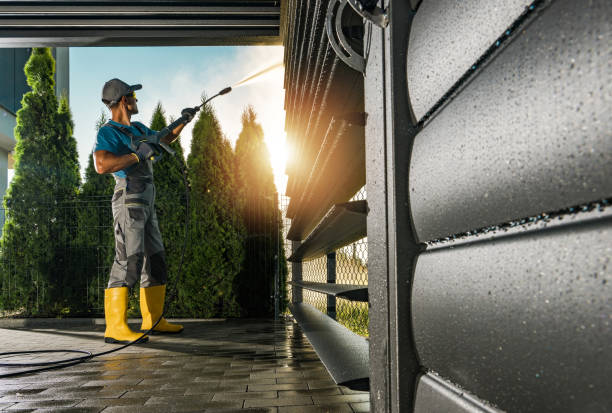 Best Pressure Washing Siding  in Albion, IL