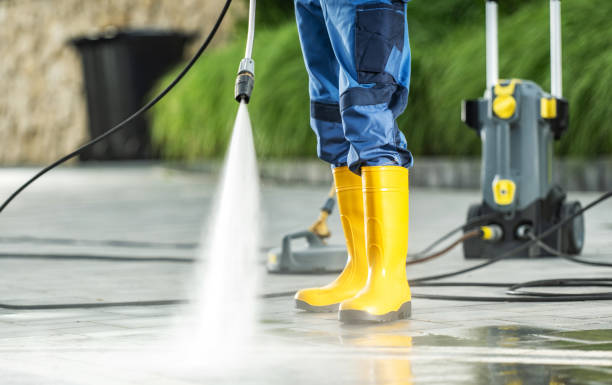 Best Power Washing Near Me  in Albion, IL