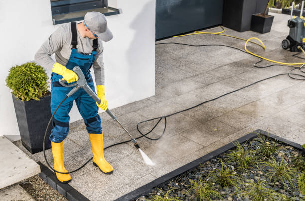 Best Residential Pressure Washing Services  in Albion, IL