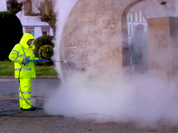 Best Pressure Washing Near Me  in Albion, IL