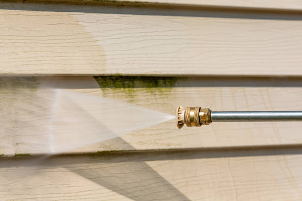 Best Affordable Pressure Washing  in Albion, IL