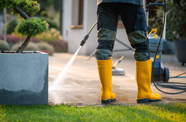 Best Roof Power Washing Services  in Albion, IL